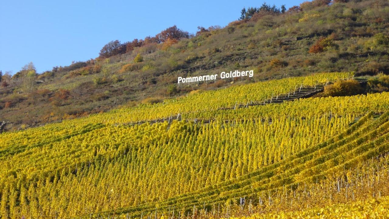 Ferienwohnung Im Bachtal Pommern Экстерьер фото